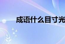 成語(yǔ)什么目寸光（成語(yǔ)什么征北戰(zhàn)）