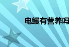 電鰻有營(yíng)養(yǎng)嗎（電鰻有天敵嗎）