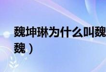 魏坤琳為什么叫魏叨叨（魏坤琳為什么叫Dr魏）
