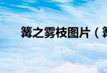 篝之霧枝圖片（篝之霧枝是什么動(dòng)漫）