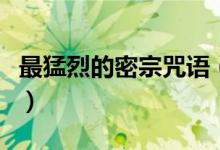 最猛烈的密宗咒語（密宗最猛的咒語是什么咒）