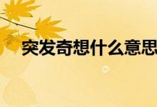 突發(fā)奇想什么意思（突發(fā)奇想什么意思）