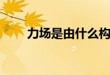 力場是由什么構成的（力場是什么）