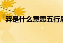 羿是什么意思五行屬什么(羿是什么意思)