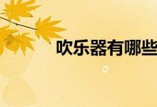 吹樂(lè)器有哪些（吹樂(lè)器有哪些）
