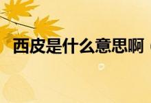 西皮是什么意思?。ㄎ髌な鞘裁匆馑季W(wǎng)絡(luò)）
