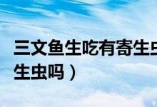 三文魚生吃有寄生蟲怎么殺（三文魚生吃有寄生蟲嗎）