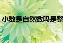 小數(shù)是自然數(shù)嗎是整數(shù)嗎（小數(shù)是自然數(shù)嗎）