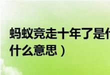 螞蟻競(jìng)走十年了是什么梗（螞蟻競(jìng)走十年了是什么意思）