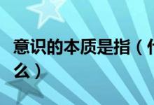 意識的本質(zhì)是指（什么是意識意識的本質(zhì)是什么）