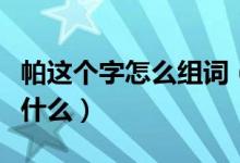 帕這個(gè)字怎么組詞（帕組詞帕字組詞和成語(yǔ)有什么）
