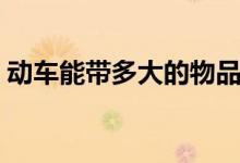 動(dòng)車(chē)能帶多大的物品（動(dòng)車(chē)能帶多大行李箱）