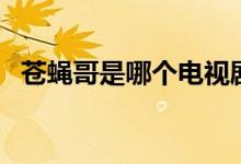 蒼蠅哥是哪個(gè)電視?。ㄉn蠅哥是哪部電影）