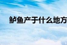鱸魚產(chǎn)于什么地方（鱸魚產(chǎn)于什么地方）
