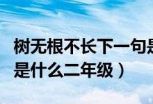樹無根不長下一句是什么（樹無根不長下一句是什么二年級）