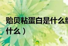 貽貝粘蛋白是什么細(xì)胞分泌的（貽貝粘蛋白是什么）