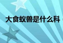 大食蟻獸是什么科（大食蟻獸是什么動(dòng)物）