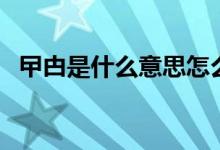 曱甴是什么意思怎么讀（曱甴是什么意思）