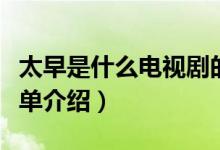 太早是什么電視劇的主題曲?。ㄓ羞@部劇的簡單介紹）