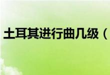 土耳其進(jìn)行曲幾級（土耳其進(jìn)行曲是第八級）