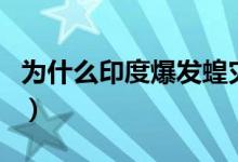 為什么印度爆發(fā)蝗災（帶你了解未來蝗災走向）