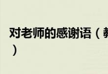 對(duì)老師的感謝語(yǔ)（教師節(jié)祝福老師的簡(jiǎn)短句子）