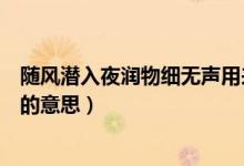 隨風(fēng)潛入夜?jié)櫸锛殶o聲用來形容啥（隨風(fēng)潛入夜?jié)櫸锛殶o聲的意思）