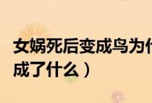 女?huà)z死后變成鳥(niǎo)為什么要叫精衛(wèi)（女?huà)z死后變成了什么）