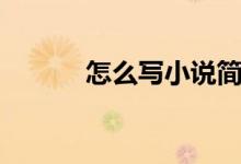 怎么寫小說簡介(怎么寫小說)