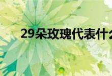 29朵玫瑰代表什么(適合什么場(chǎng)合送)