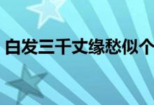白發(fā)三千丈緣愁似個(gè)長的意思（白發(fā)三千丈）