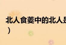 北人食菱中的北人是個什么樣的人（北人食菱）