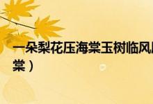 一朵梨花壓海棠玉樹臨風(fēng)勝潘安是什么意思(一朵梨花壓海棠)