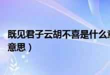 既見君子云胡不喜是什么意思啊（既見君子 云胡不喜是什么意思）