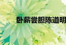 臥薪嘗膽陳道明電視?。ㄅP薪嘗膽）