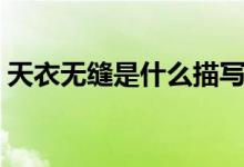 天衣無縫是什么描寫（天衣無縫是什么意思）