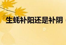 生蠔補陽還是補陰（生蠔補腎陰還是腎陽）