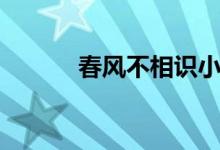 春風(fēng)不相識小說（春風(fēng)不相識）