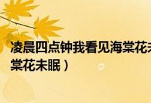 凌晨四點鐘我看見海棠花未眠下一句（凌晨四點鐘 我看見海棠花未眠）