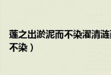蓮之出淤泥而不染濯清漣而不妖是什么意思（蓮之出淤泥而不染）