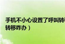 手機(jī)不小心設(shè)置了呼叫轉(zhuǎn)移怎么辦（手機(jī)不小心設(shè)置了呼叫轉(zhuǎn)移咋辦）