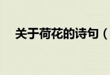 關于荷花的詩句（關于荷花的詩句推薦）