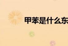 甲苯是什么東西（甲苯是什么）