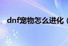 dnf寵物怎么進(jìn)化（快把你的寵物進(jìn)化吧）