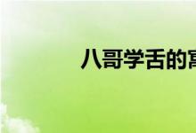 八哥學(xué)舌的寓意（八哥學(xué)舌）