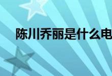 陳川喬麗是什么電視?。ǜ〕羷∏榻榻B）