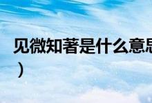 見(jiàn)微知著是什么意思（見(jiàn)微知著的含義是什么）