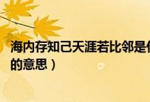 海內(nèi)存知己天涯若比鄰是什么意思（海內(nèi)存知己 天涯若比鄰的意思）