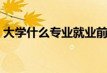 大學(xué)什么專業(yè)就業(yè)前景最好（比較好就業(yè)的）