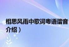 相思風(fēng)雨中歌詞粵語(yǔ)諧音（相思風(fēng)雨中歌詞及粵語(yǔ)諧音簡(jiǎn)單介紹）